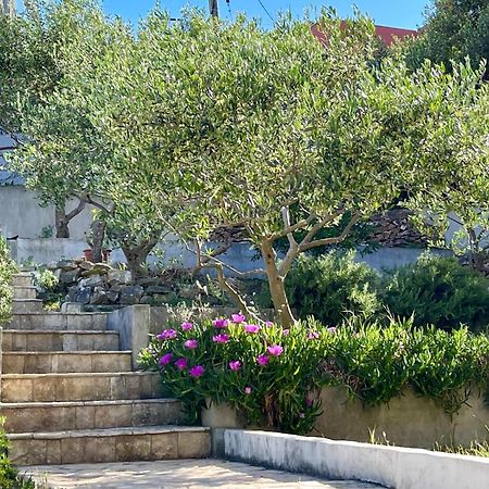 Villa Bua - Beautiful Seafront Apartments Trogir Eksteriør billede
