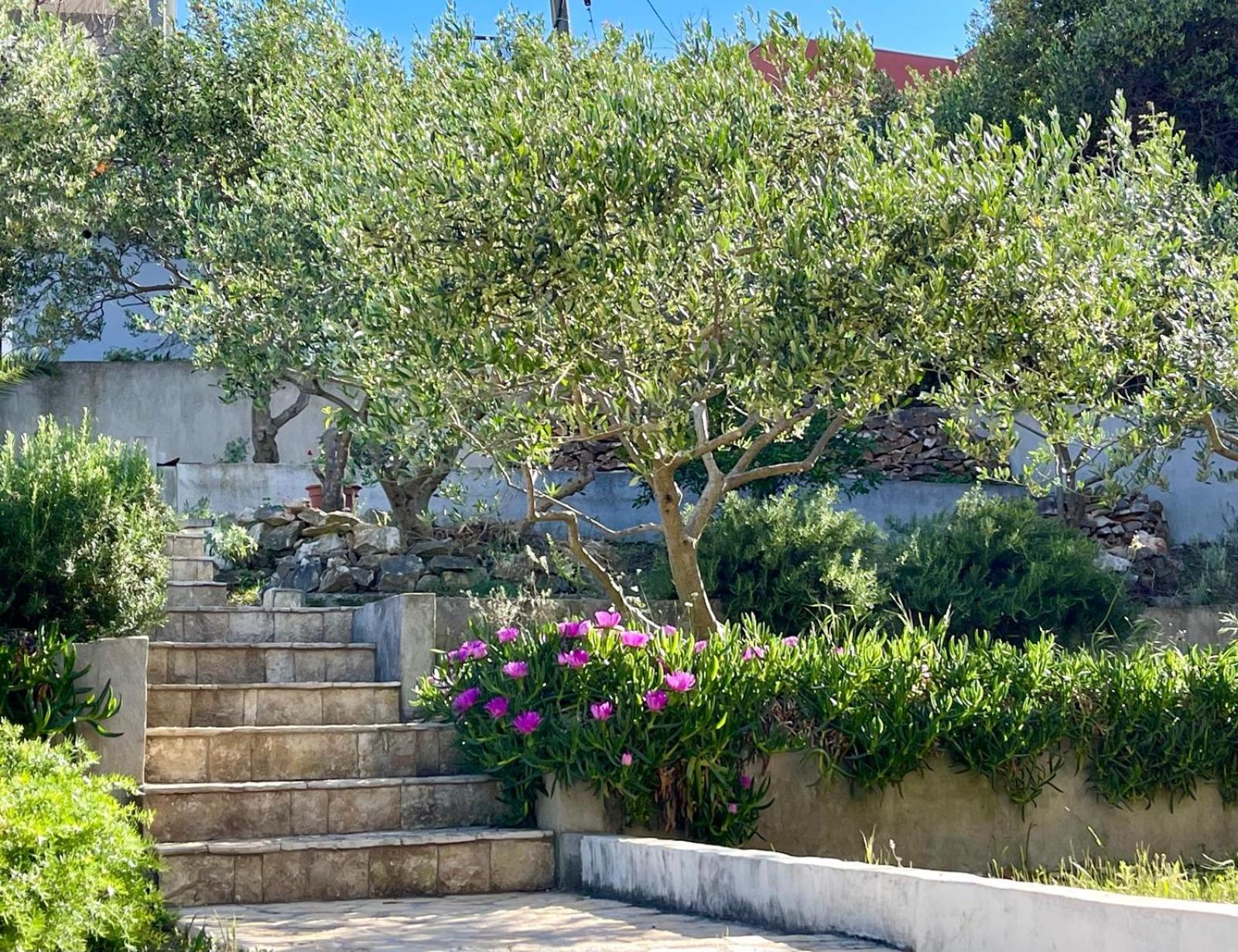 Villa Bua - Beautiful Seafront Apartments Trogir Eksteriør billede